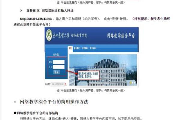 深入了解东北农业大学教务处的职能与服务